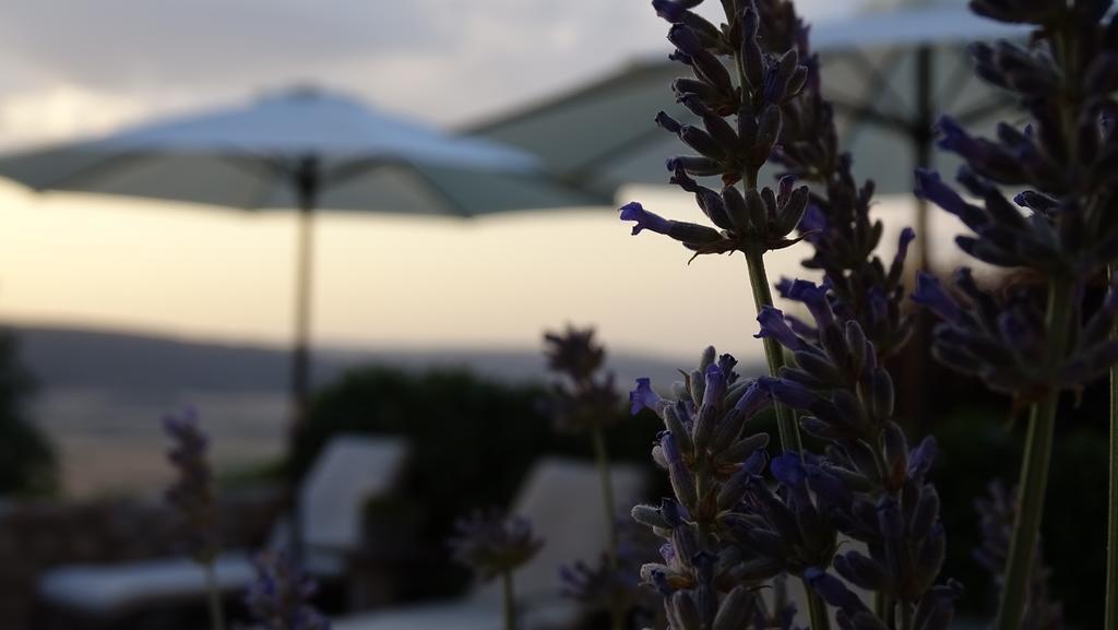 Hotel Cardamomo Sigueenza Carabias  Kültér fotó
