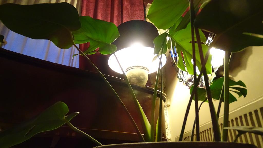 Hotel Cardamomo Sigueenza Carabias  Kültér fotó