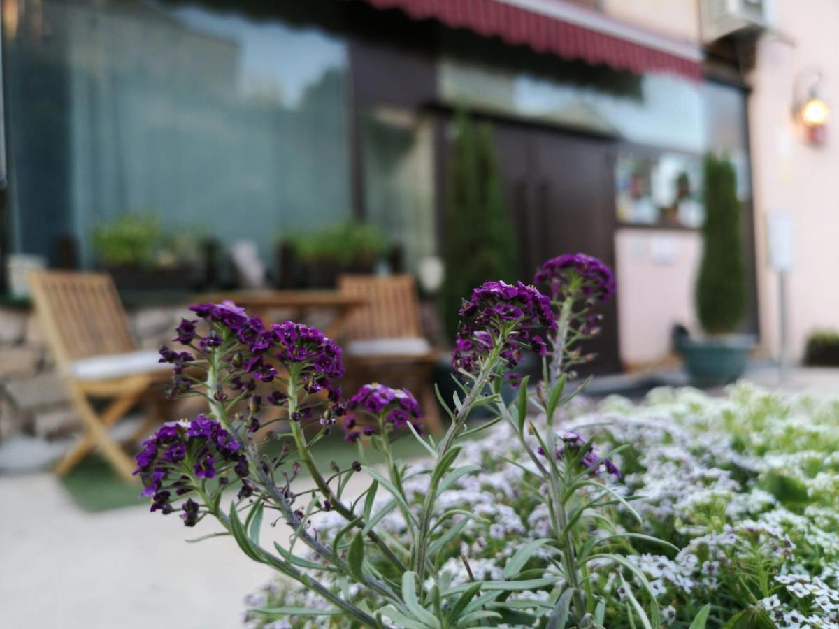 Hotel Cardamomo Sigueenza Carabias  Kültér fotó
